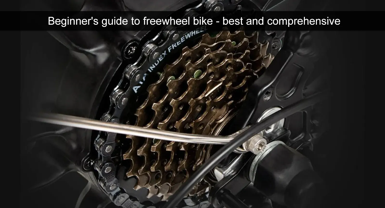 Beginner’s guide to freewheel bike – best and comprehensive